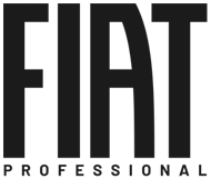 Fiat Pro FLYWHEEL 55248440